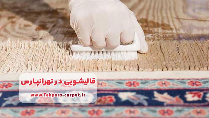 شست‌وشوی جداگانه ریشه‌ها در قالیشویی تهرانپارس